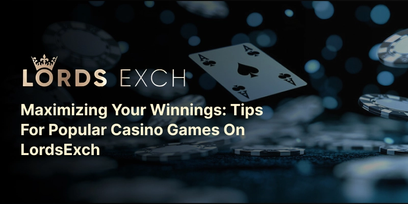 Maximize Winnings in Casino Games | Lords Exchange Tips